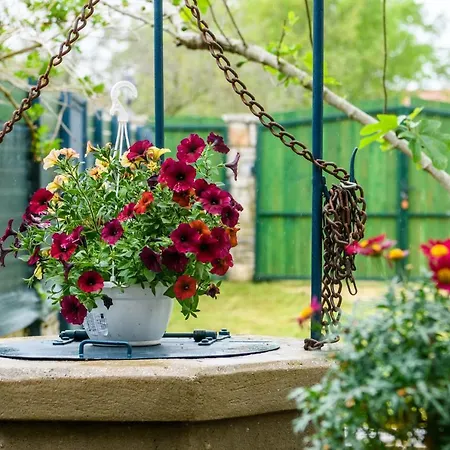 Holiday home Rural Oriana